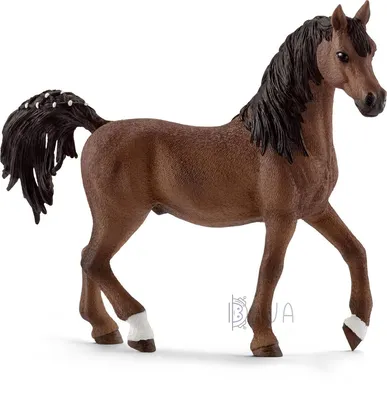 Набор пикап с прицепом для лошади, schleich 42346 42346 купить по низкой  цене в интернет-магазине МаМаМа.РФ