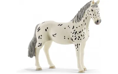 Фигурка Schleich Sofia's Beauties Horse Sofia and Dusty, стартовый набор  42584 купить в Москве | Доставка по России.