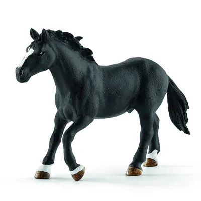 Schleich 13910 Фигурка Кобыла породы Кнабструппер Knabstrupper mare Horse  Club (ID#1548043690), цена: 499 ₴, купить на Prom.ua