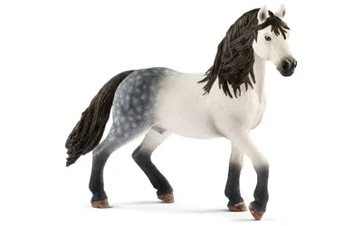Игрушка Шляйх лошадь Андалузский жеребец, Schleich (13821) - купить в  Украине на Profi-Toys.com.ua