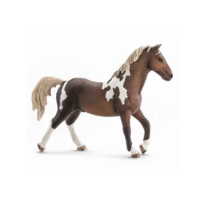 Детская Игрушка Schleich Ахалтекинский Конь 13911 — Купить на BIGL.UA ᐉ  Удобная Доставка (1970413080)