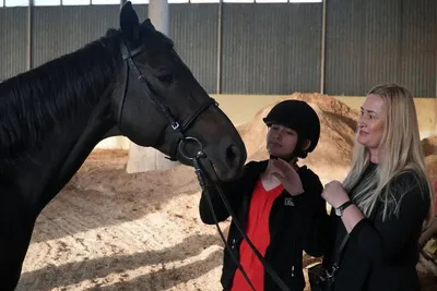 В Нальчике открыли гостиницу для лошадей - Российская газета