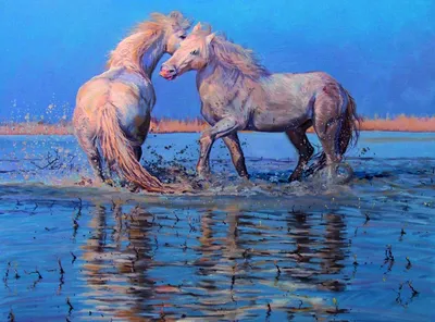 Три Белые Лошади Камарга Бегущие По Воде Восхода Солнца — стоковые  фотографии и другие картинки Лошадь - iStock
