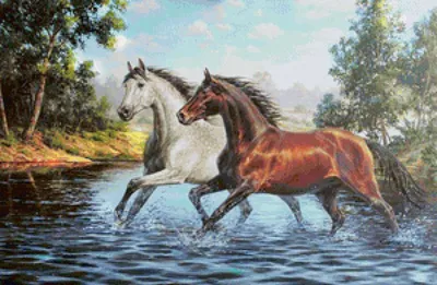 Идущие белые лошади через воду Стоковое Фото - изображение насчитывающей  быстро, лошадь: 54441474