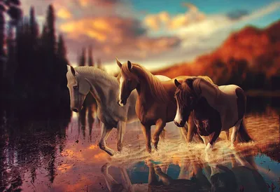 Картинка Лошади 3д капля Брызги Вода животное 2560x1705