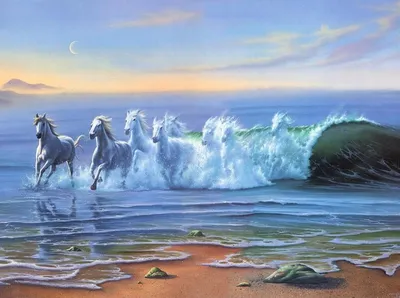 лошади, галопившие воду с осколками Стоковое Фото - изображение  насчитывающей лошадиный, конноспортивно: 268605856