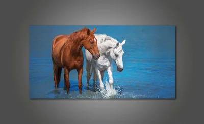 Вольное племя: дикие лошади, живущие у воды | Журнал \"Баку\" | Дзен