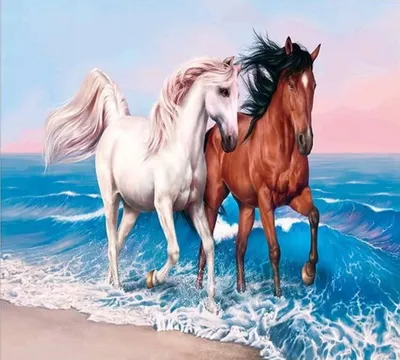 Истории про лошадей | Уникальная фотосессия с лошадками прямо в воде.  Хотели бы себе такую? 🙂 | Дзен