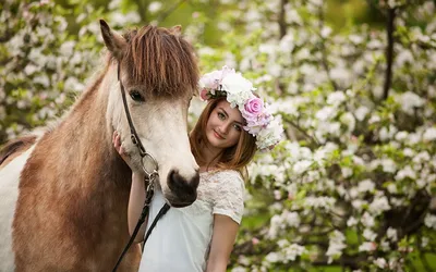 Пара диких лошадей весны в Юте Стоковое Фото - изображение насчитывающей  одичало, лошадь: 163747416