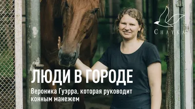 Ответы Mail.ru: Помогите найти фотографию лошади из фильма Невезучие