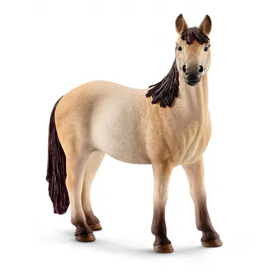 Лошадь Жеребец Мустанг Езда На - Бесплатное фото на Pixabay - Pixabay
