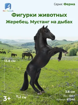 Фигурка Schleich Лошадь Мустанг (13805) купить в интернет магазине с  доставкой по Украине | MYplay