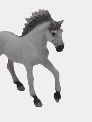 Черный конь арт (63 фото) | Андалузская лошадь, Картина лошади, Черные  лошади