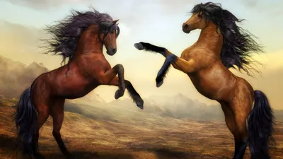 На их спинах никогда не было седла: мустанги — «домашние» лошади, которые  стали дикими | Дикая Природа | Дзен