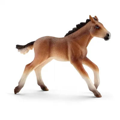 Фигурка животного Derri Animals Лошадь Мустанг, жеребец для детей игрушка  коллекционная декоративная, 81745, 4х14х10 см - купить с доставкой по  выгодным ценам в интернет-магазине OZON (222856007)