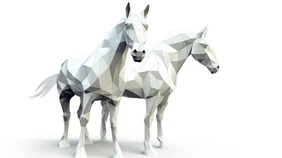 Арабская Голова Лошади Изолирована На Белом Фоне Белая Лошадь — стоковые  фотографии и другие картинки Арабская лошадь - iStock
