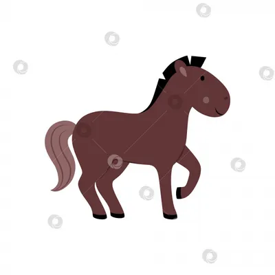 Скачать обои трава, конь, лошадь, пара, белый фон, жеребёнок, раздел  животные в разрешении 7008x4672