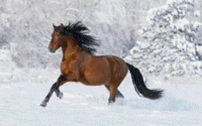 Схема вышивки «Лошадь на снегу» (№478008) - Вышивка крестом