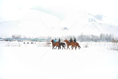 Лошади и снежные фантазии | Сказки в пути | Дзен
