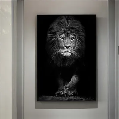 Голова льва в ЮАР черно-белая Стоковое Фото - изображение насчитывающей  женщина, намибия: 161556272