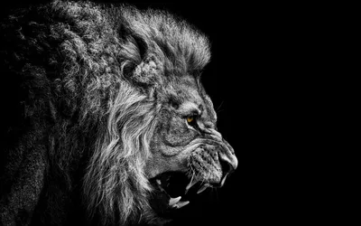 Черно-белая фотография льва с длинной гривой, генеративный искусственный  интеллект | Премиум Фото