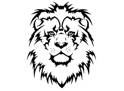 Белый лев Черное и белое, милые картинки львов, белый, млекопитающее png |  PNGEgg