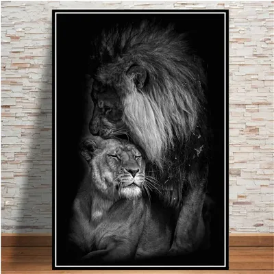 Портрет льва в черно-белом стоковое изображение. изображение насчитывающей  львев - 37753061
