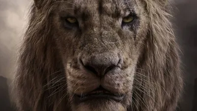 Фото льва и львенка фотографии