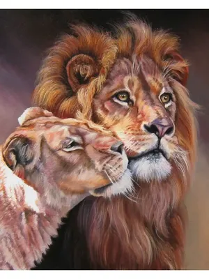 Иисус любит льва, картинка иисус и лев, лев, животное фон картинки и Фото  для бесплатной загрузки