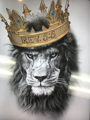 Картинки льва с короной - 75 фото