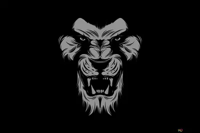 Уникальная картинка стриженного льва на черном фоне | Стриженный лев Фото  №505464 скачать