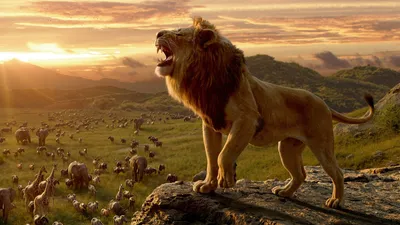 Купить обои Обои фильм Король Лев (Lion King Simba) в интернет-магазине в  Москве от производителя Designecoprint