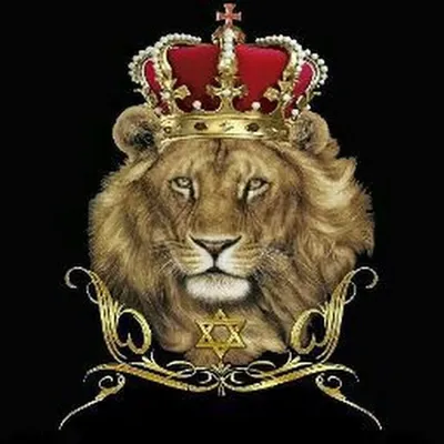 Лев с короной обои - 71 фото