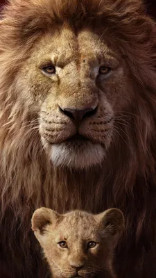 Лев. рисунок льва. радужный лев. взгляд воина - обои на рабочий стол