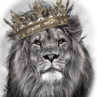 Фото льва с короной 