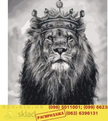 Голова льва с короной - фото и картинки abrakadabra.fun