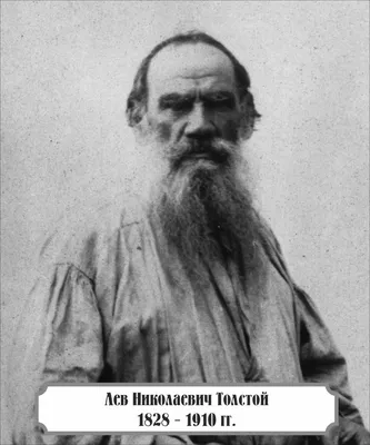 Стиль жизни Льва Толстого: чем он поражает воображение - Русская семерка