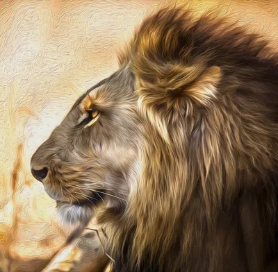 Львица на фотографии с элементами природы | Тлинный лев Фото №510969 скачать