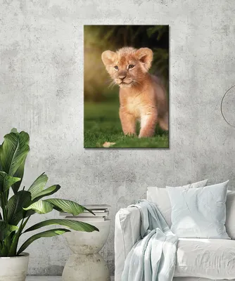 Маленьких львов - картинки и фото koshka.top