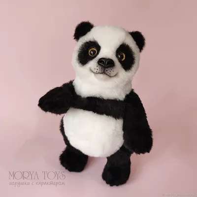 Малая (красная) панда в домашних условиях - Животное панда: энциклопедия,  все про панду!