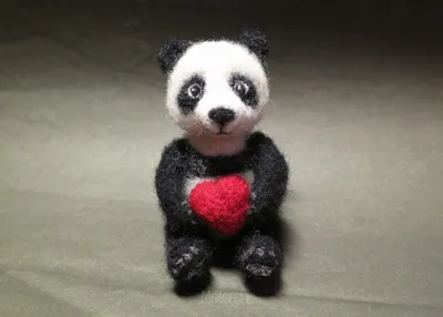 У маленькой панды из Московского зоопарка появилось имя | Радио 1