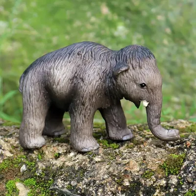 Мамонты шагали по Аляске: как по одному бивню учёные восстановили историю  жизни «слона», жившего 17 000 лет назад / Хабр