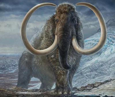 Возрождение мамонтов не нужно: России лучше снова стать родиной слонов