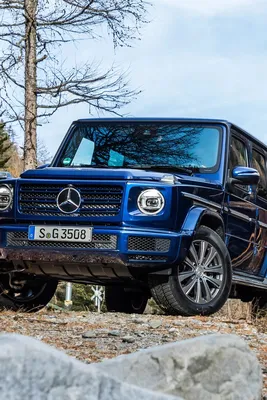 За что Mercedes-Benz платит владельцам старых машин по 3 000 евро -  Российская газета