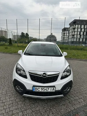 Опель Мокка 2023-2024 купить в Москве — комплектации и цены на новый Opel  Mokka у официального дилера