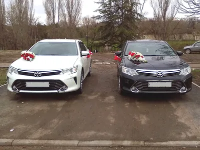 История модели Toyota Camry. Все модели Тойота Камри. Комплектации и  двигатели Toyota Camry