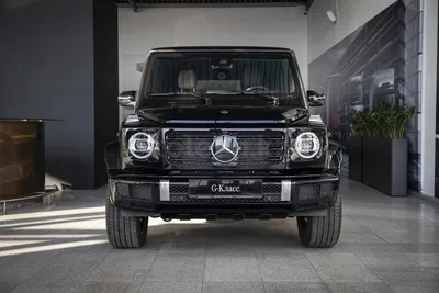 ᐉ Машинка металлическая Auto Expert Mercedes Gelandewagen G-Class  Гелендваген 20 см звук/свет 1:24 Черный (EL-4125)