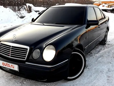 Mercedes-Benz E 55 AMG (W210) 5.5 бензиновый 2001 | Бодрый Очкарик на DRIVE2