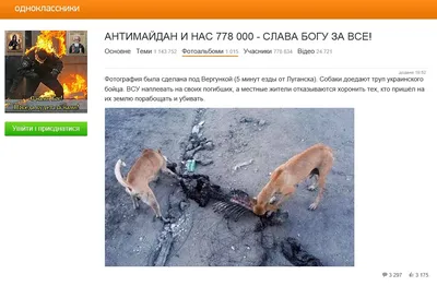 Возле парка Победы нашли труп животного со снятой кожей и отрубленными  конечностями (фото) | Новости Одессы