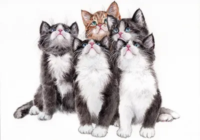 три милых маленьких котят втроем Стоковое Изображение - изображение  насчитывающей мило, актиния: 218156537